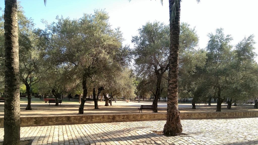 Buhaira